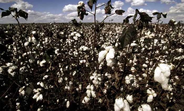 (Re)defining sustainability within the fashion industry (Re)defining sustainability within the fashion industry