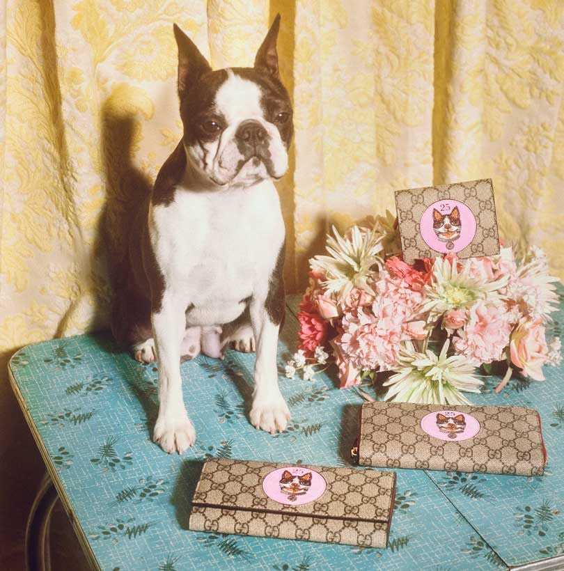 Gucci marks the Year of the Dog with a special capsule collection Gucci marks the Year of the Dog with a special capsule collection