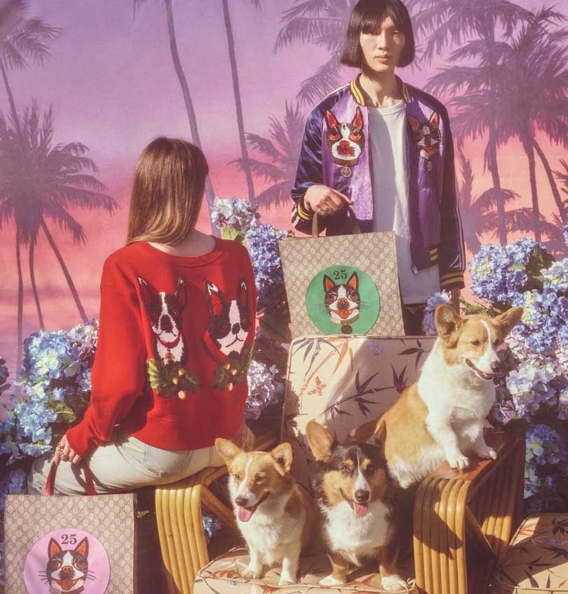 Gucci marks the Year of the Dog with a special capsule collection Gucci marks the Year of the Dog with a special capsule collection