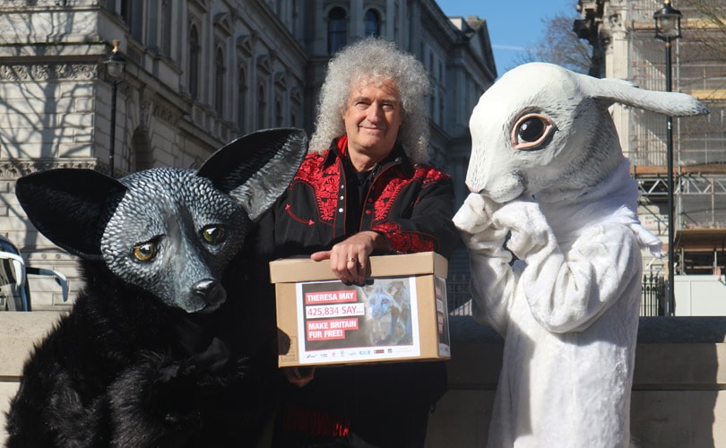 The UK Fur Debate: 'Plainly, fur is immoral, cruel and barbaric' The UK Fur Debate: 'Plainly, fur is immoral, cruel and barbaric'