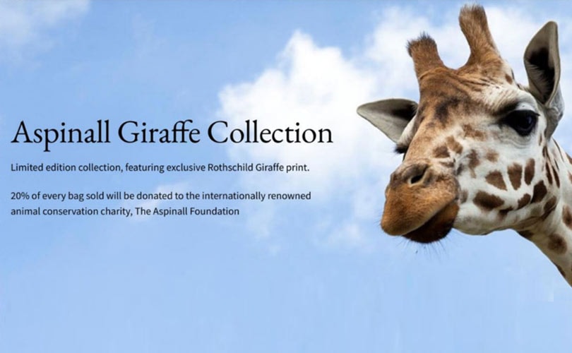 In Pictures: Cambridge Satchel Company giraffe collection In Pictures: Cambridge Satchel Company giraffe collection