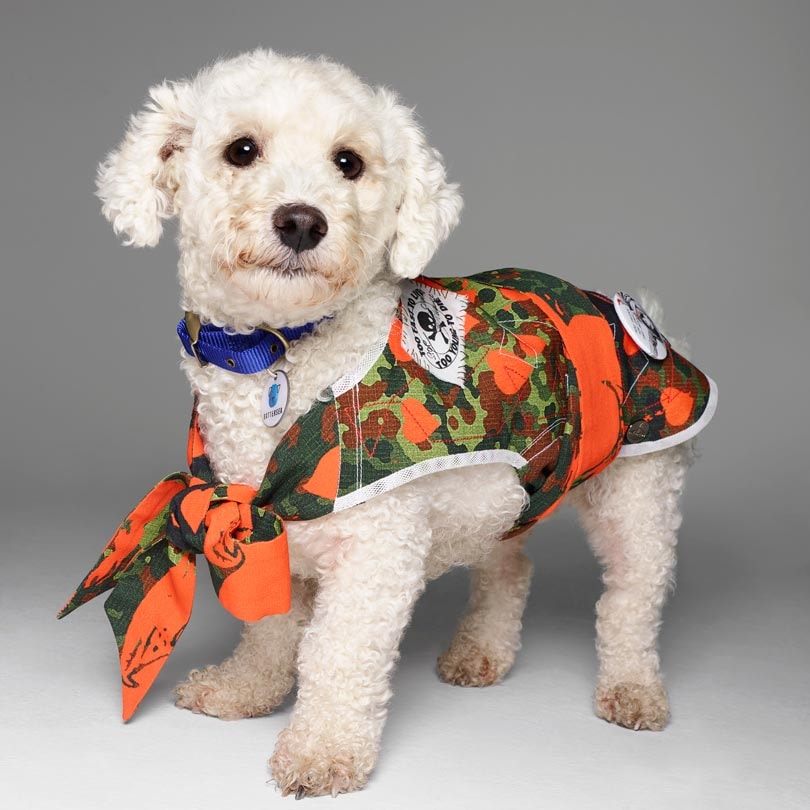 Fashion names design canine couture for charity Fashion names design canine couture for charity