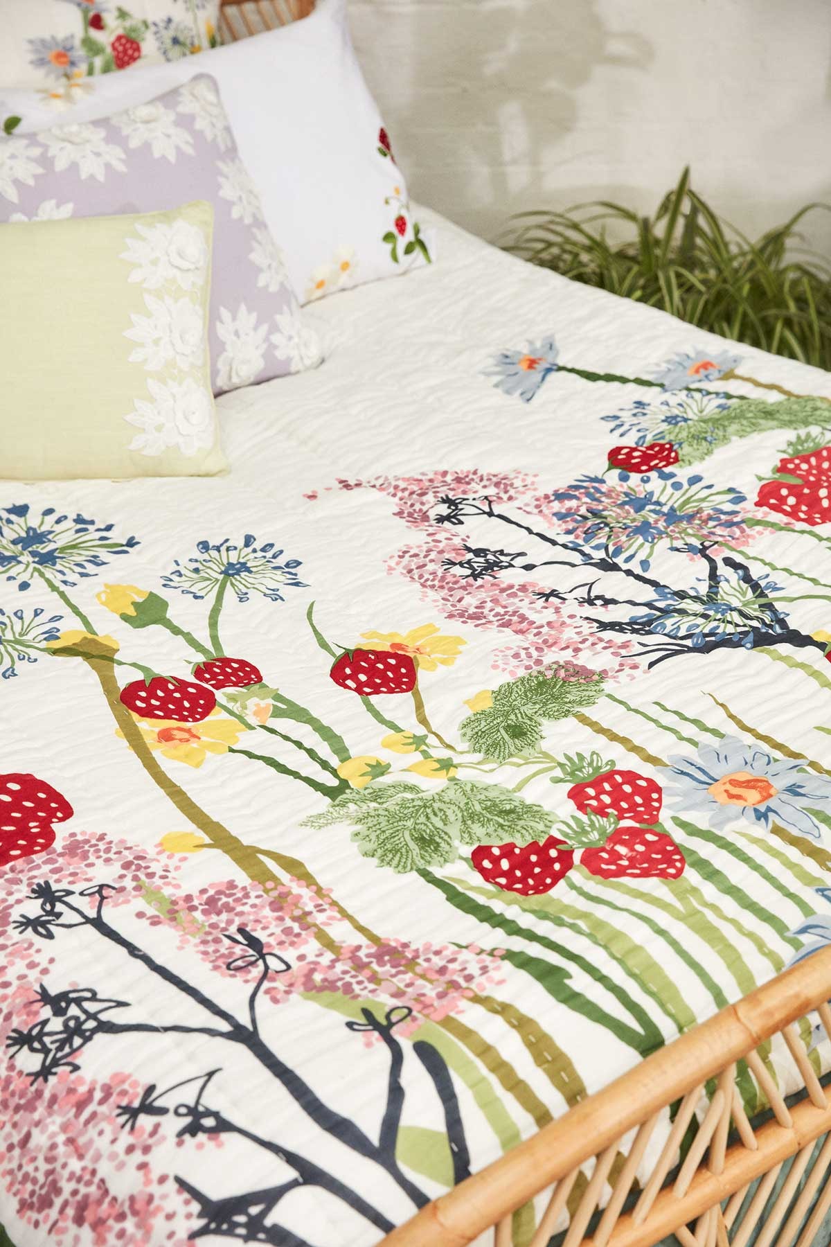 Anthropologie launches Alice Archer collaboration Anthropologie launches Alice Archer collaboration